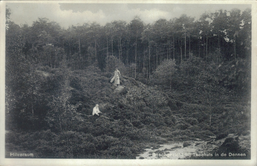 theehuis in de Dennen
